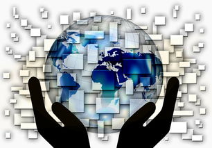 mk体育app下载-中国篮球青训体系课程体系优化方案，青训篮球课程教案大全